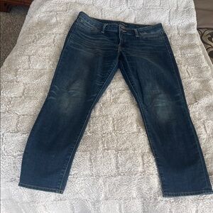 Lucky Brand Women's High Rise Indigo Jeans